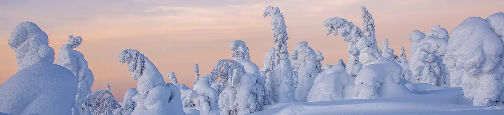 Terveydenhuollon ammattilaiset palveluksessasi 130