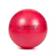 Qmed ABS GYM Ball, red, Diameter 55cm - Gym balls, rolls and muscle care - DRQM3A0NA002P - 1